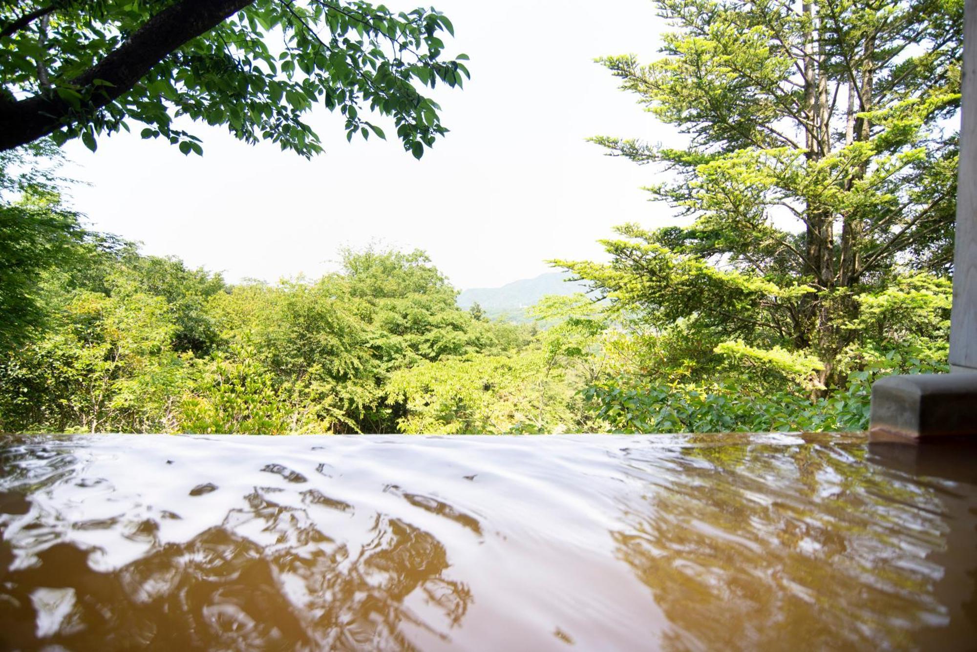 Arima Onsen Motoyu Ryuusenkaku Kobe Quarto foto