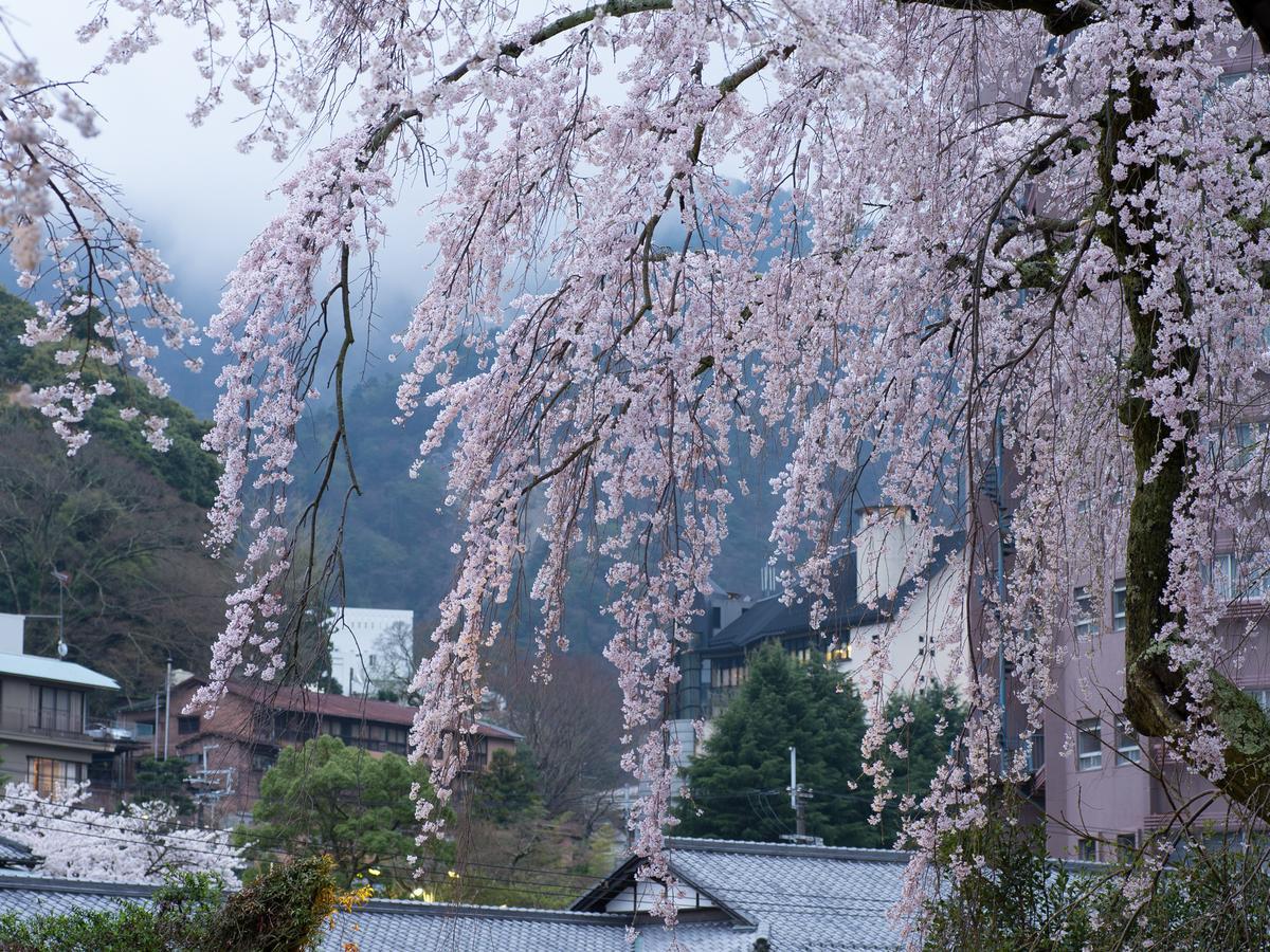 Arima Onsen Motoyu Ryuusenkaku Kobe Exterior foto