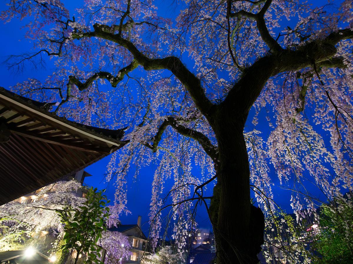 Arima Onsen Motoyu Ryuusenkaku Kobe Exterior foto